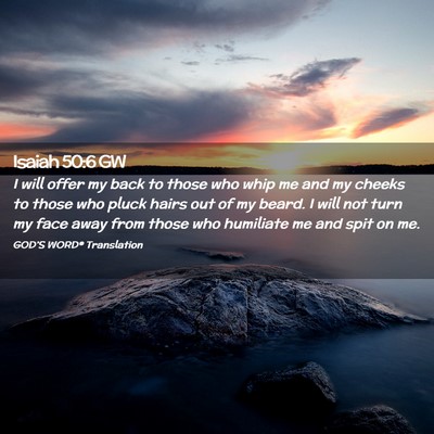 Picture 02 - Isaiah 50:6 GW - I will offer my back to those who whip me and my - Bible Verse Picture