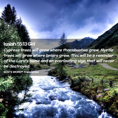 Picture 02 - Isaiah 55:13 GW - Cypress trees will grow where thornbushes grew. - Bible Verse Picture
