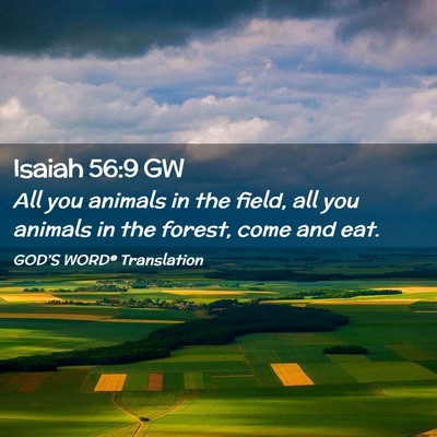 Picture 02 - Isaiah 56:9 GW - All you animals in the field, all you animals in - Bible Verse Picture