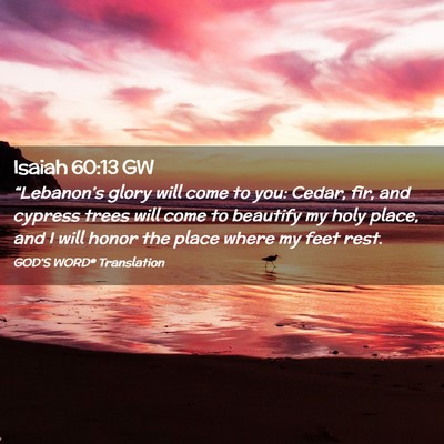 Picture 02 - Isaiah 60:13 GW - “Lebanon’s glory will come to you: Cedar, - Bible Verse Picture