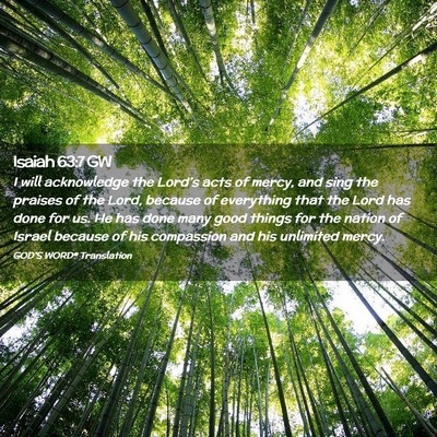 Picture 02 - Isaiah 63:7 GW - I will acknowledge the Lord’s acts of mercy, - Bible Verse Picture