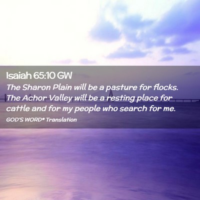Picture 02 - Isaiah 65:10 GW - The Sharon Plain will be a pasture for flocks. - Bible Verse Picture