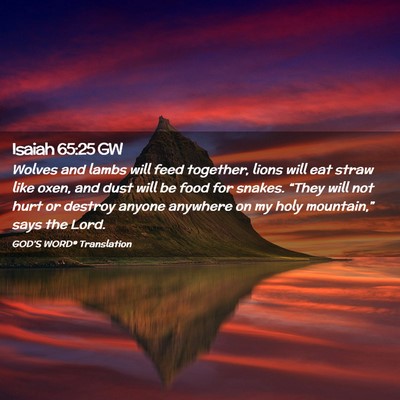 Picture 02 - Isaiah 65:25 GW - Wolves and lambs will feed together, lions will - Bible Verse Picture