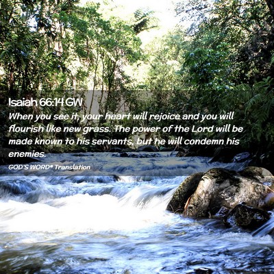 Picture 02 - Isaiah 66:14 GW - When you see it, your heart will rejoice and you - Bible Verse Picture