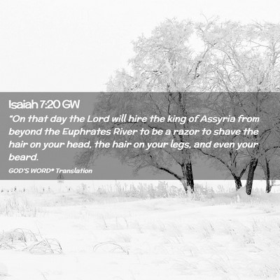 Picture 02 - Isaiah 7:20 GW - “On that day the Lord will hire the king of - Bible Verse Picture