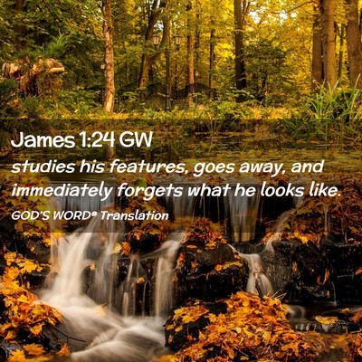 Picture 02 - James 1:24 GW - studies his features, goes away, and immediately - Bible Verse Picture