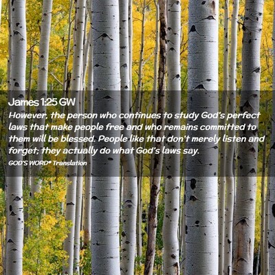 Picture 02 - James 1:25 GW - However, the person who continues to study - Bible Verse Picture