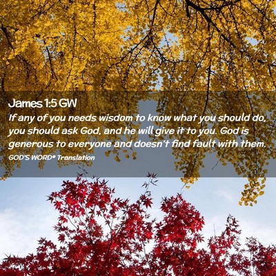 Picture 02 - James 1:5 GW - If any of you needs wisdom to know what you - Bible Verse Picture