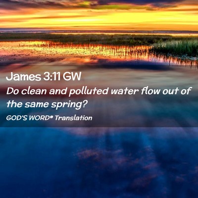 Picture 02 - James 3:11 GW - Do clean and polluted water flow out of the same - Bible Verse Picture
