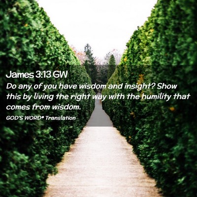 Picture 02 - James 3:13 GW - Do any of you have wisdom and insight? Show this - Bible Verse Picture