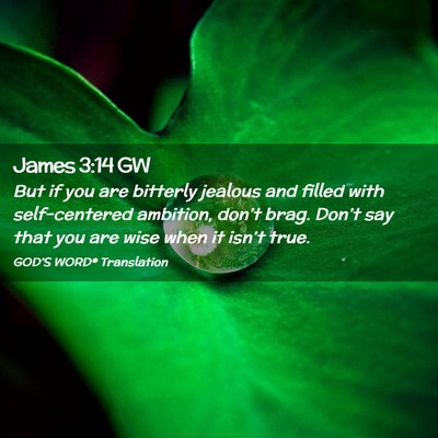 Picture 02 - James 3:14 GW - But if you are bitterly jealous and filled with - Bible Verse Picture