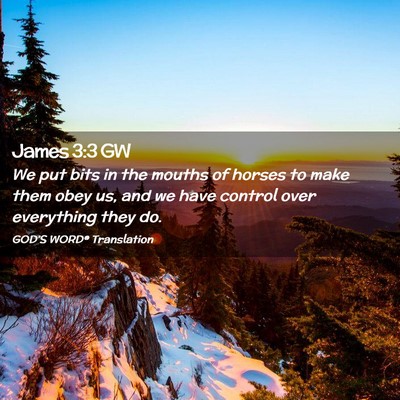 Picture 02 - James 3:3 GW - We put bits in the mouths of horses to make them - Bible Verse Picture