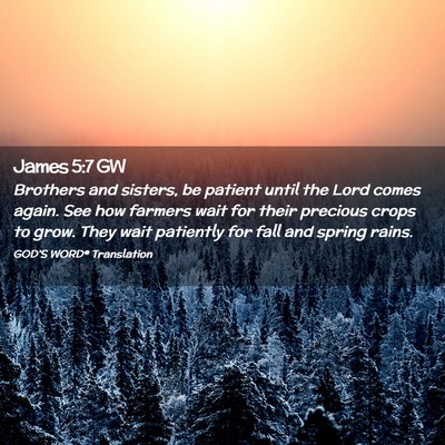 Picture 02 - James 5:7 GW - Brothers and sisters, be patient until the Lord - Bible Verse Picture