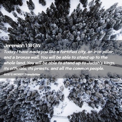 Picture 02 - Jeremiah 1:18 GW - Today I have made you like a fortified city, an - Bible Verse Picture