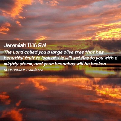 Picture 02 - Jeremiah 11:16 GW - The Lord called you a large olive tree that has - Bible Verse Picture
