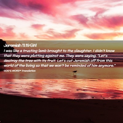 Picture 02 - Jeremiah 11:19 GW - I was like a trusting lamb brought to the - Bible Verse Picture