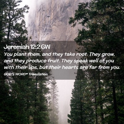 Picture 02 - Jeremiah 12:2 GW - You plant them, and they take root. They grow, - Bible Verse Picture