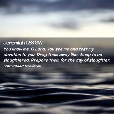 Picture 02 - Jeremiah 12:3 GW - You know me, O Lord. You see me and test my - Bible Verse Picture