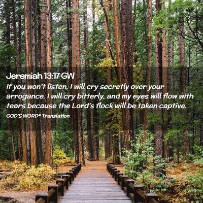 Picture 02 - Jeremiah 13:17 GW - If you won’t listen, I will cry secretly over - Bible Verse Picture