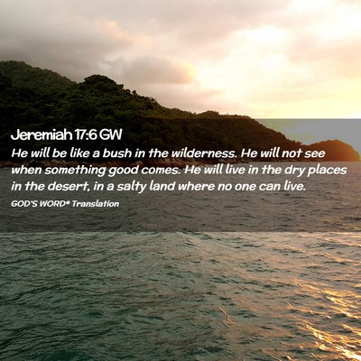 Picture 02 - Jeremiah 17:6 GW - He will be like a bush in the wilderness. He will - Bible Verse Picture