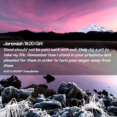 Picture 02 - Jeremiah 18:20 GW - Good should not be paid back with evil. They dig - Bible Verse Picture