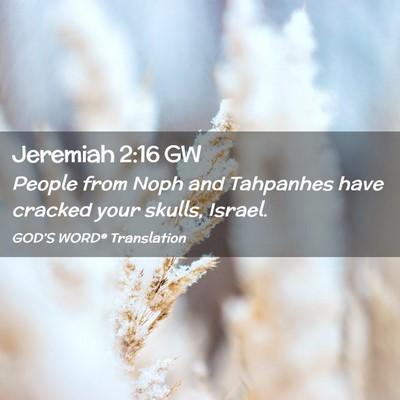 Picture 02 - Jeremiah 2:16 GW - People from Noph and Tahpanhes have cracked your - Bible Verse Picture