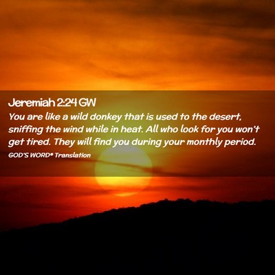 Picture 02 - Jeremiah 2:24 GW - You are like a wild donkey that is used to the - Bible Verse Picture