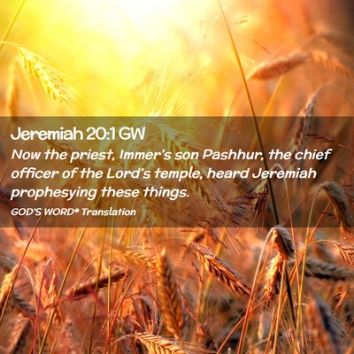 Picture 02 - Jeremiah 20:1 GW - Now the priest, Immer’s son Pashhur, the chief - Bible Verse Picture
