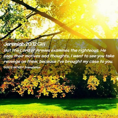 Picture 02 - Jeremiah 20:12 GW - But the Lord of Armies examines the righteous. He - Bible Verse Picture
