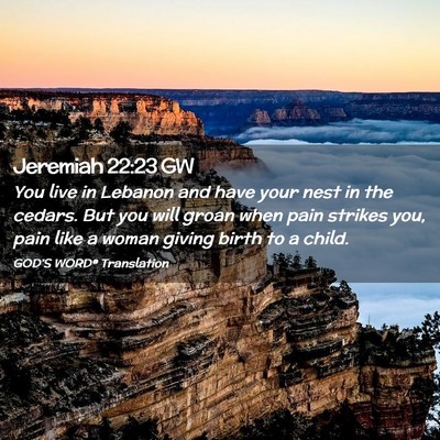 Picture 02 - Jeremiah 22:23 GW - You live in Lebanon and have your nest in the - Bible Verse Picture