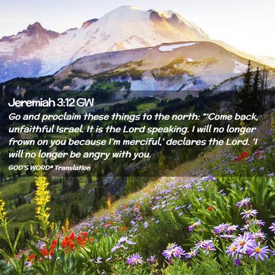 Picture 02 - Jeremiah 3:12 GW - Go and proclaim these things to the north: - Bible Verse Picture
