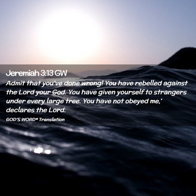 Picture 02 - Jeremiah 3:13 GW - Admit that you’ve done wrong! You have rebelled - Bible Verse Picture