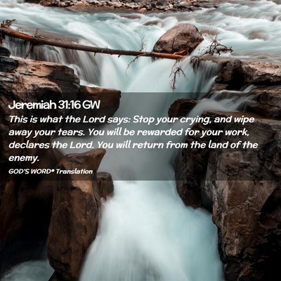 Picture 02 - Jeremiah 31:16 GW - This is what the Lord says: Stop your crying, and - Bible Verse Picture