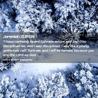 Picture 02 - Jeremiah 31:18 GW - “I have certainly heard Ephraim mourn and say, - Bible Verse Picture