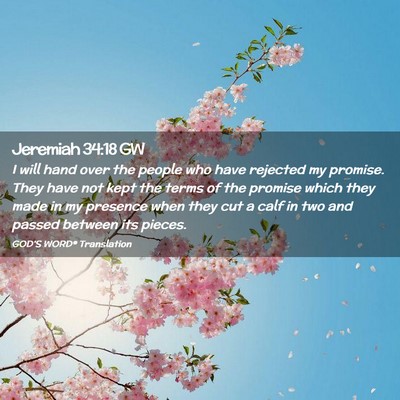 Picture 02 - Jeremiah 34:18 GW - I will hand over the people who have rejected my - Bible Verse Picture
