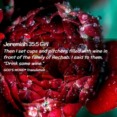 Picture 02 - Jeremiah 35:5 GW - Then I set cups and pitchers filled with wine in - Bible Verse Picture