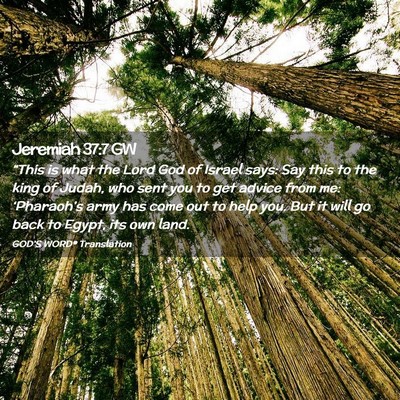 Picture 02 - Jeremiah 37:7 GW - “This is what the Lord God of Israel says: Say - Bible Verse Picture