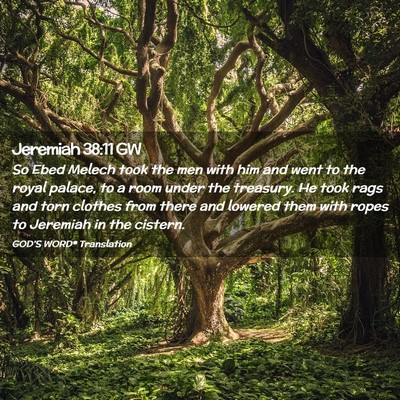 Picture 02 - Jeremiah 38:11 GW - So Ebed Melech took the men with him and went to - Bible Verse Picture