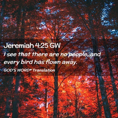 Picture 02 - Jeremiah 4:25 GW - I see that there are no people, and every bird - Bible Verse Picture
