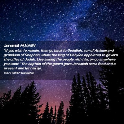 Picture 02 - Jeremiah 40:5 GW - “If you wish to remain, then go back to - Bible Verse Picture