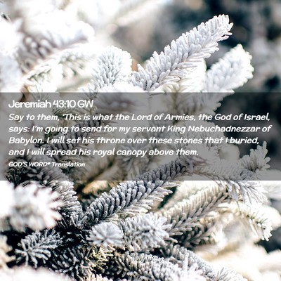 Picture 02 - Jeremiah 43:10 GW - Say to them, ‘This is what the Lord of Armies, - Bible Verse Picture