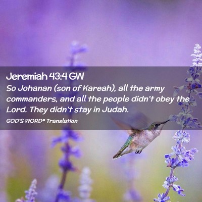 Picture 02 - Jeremiah 43:4 GW - So Johanan (son of Kareah), all the army - Bible Verse Picture