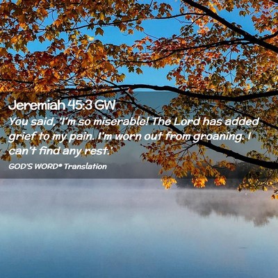 Picture 02 - Jeremiah 45:3 GW - You said, ‘I’m so miserable! The Lord has - Bible Verse Picture