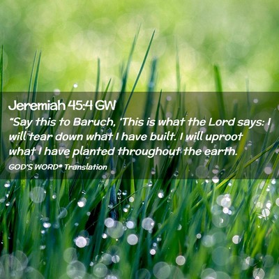 Picture 02 - Jeremiah 45:4 GW - “Say this to Baruch, ‘This is what the Lord - Bible Verse Picture