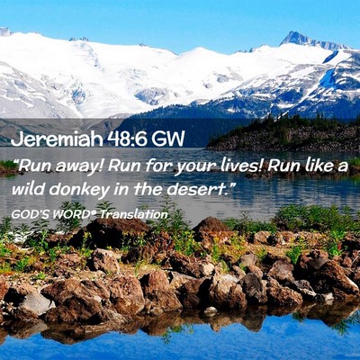 Picture 02 - Jeremiah 48:6 GW - “Run away! Run for your lives! Run like a wild - Bible Verse Picture