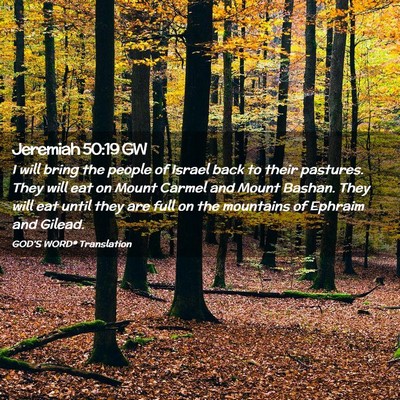 Picture 02 - Jeremiah 50:19 GW - I will bring the people of Israel back to their - Bible Verse Picture