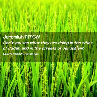 Picture 02 - Jeremiah 7:17 GW - Don’t you see what they are doing in the cities - Bible Verse Picture