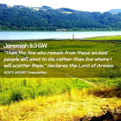 Picture 02 - Jeremiah 8:3 GW - “Then the few who remain from these wicked - Bible Verse Picture