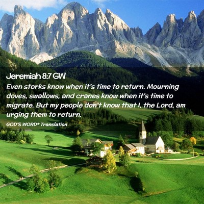 Picture 02 - Jeremiah 8:7 GW - Even storks know when it’s time to return. - Bible Verse Picture