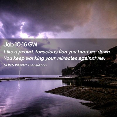 Picture 02 - Job 10:16 GW - Like a proud, ferocious lion you hunt me down. - Bible Verse Picture